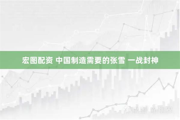 宏图配资 中国制造需要的张雪 一战封神