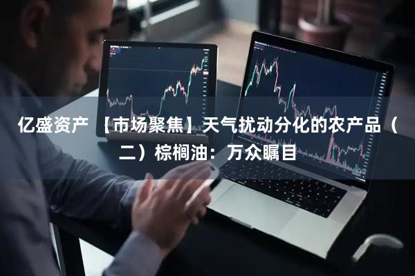 亿盛资产 【市场聚焦】天气扰动分化的农产品（二）棕榈油：万众瞩目